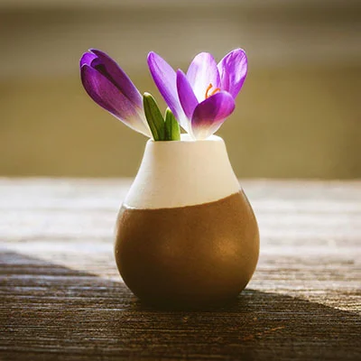 免费 Clash V2ray - 10月26日18.6M/S|免费Singbox节点/SSR节点/Shadowrocket节点/V2ray节点/Clash节点节点推荐，Clash机场购买推荐